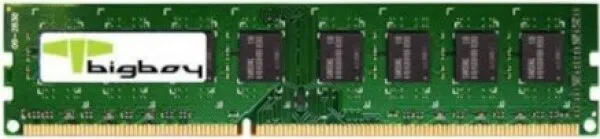 Bigboy B1600D3C11/8G 8 GB 1600 MHz DDR3 Ram