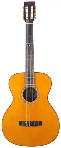 Valencia VA434VNA Klasik Gitar