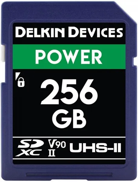 Delkin Devices Power 256 GB (DDSDG2000256) SD