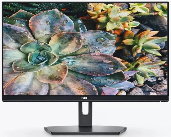 Dell SE2219H Monitör