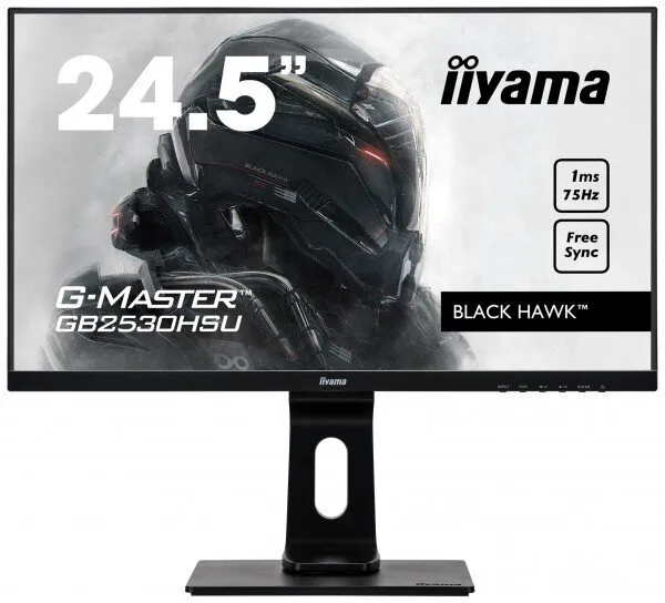 Iiyama G-Master GB2530HSU-B1 Monitör