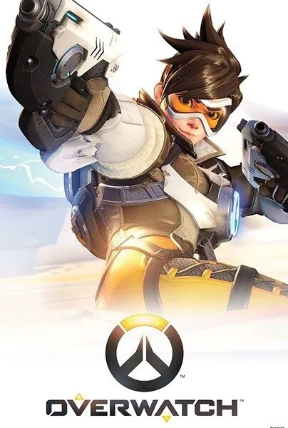 Overwatch Collector's Edition PS Oyun