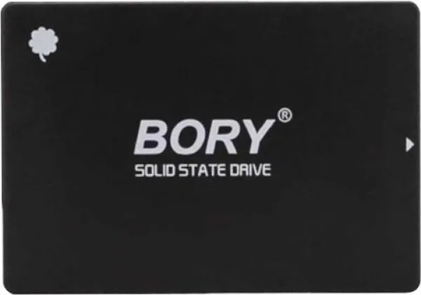 Bory R500-C256 256 GB SSD