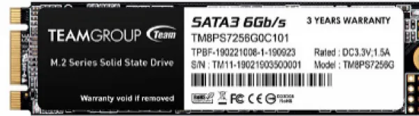 Team Group MS30 M.2 2280 256 GB (TM8PS7256G0C101) SSD