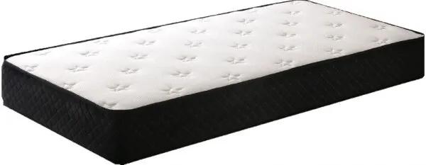 P.C Parrot Black Elite 60x120 cm Yaylı Yatak